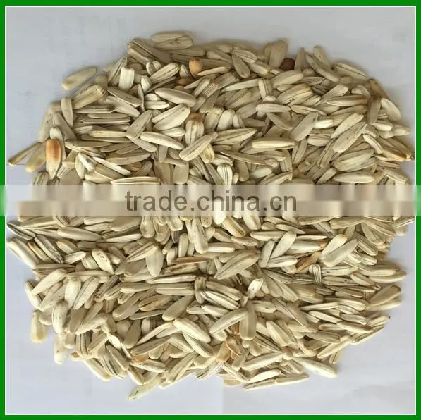 Roasted and Spiced Cheap White Sunflower Seeds With Best Quality for Sale