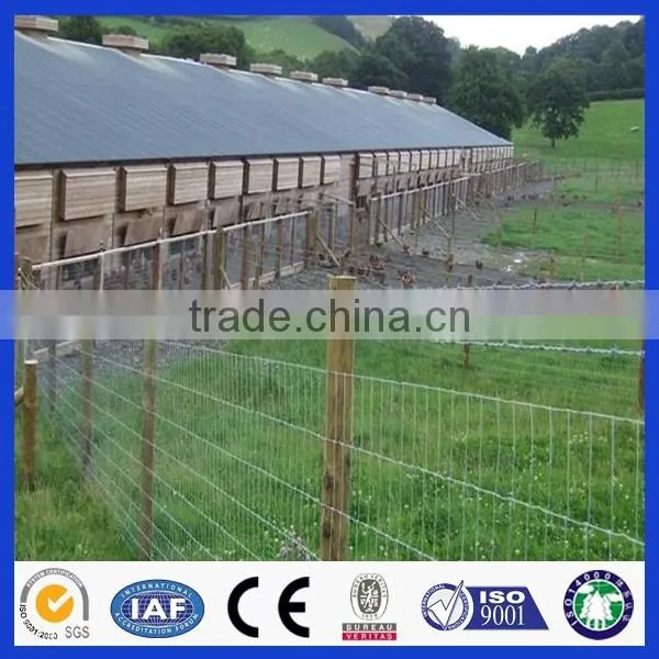 Anping Deming Factory Hot Sales Hot Dipped Galvanized Field Wire Mesh Fence photo-4