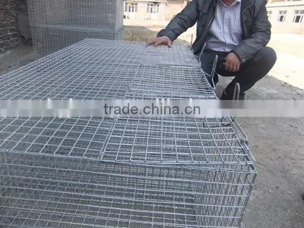 Best Selling Wire Breeding Mink Cage photo-2