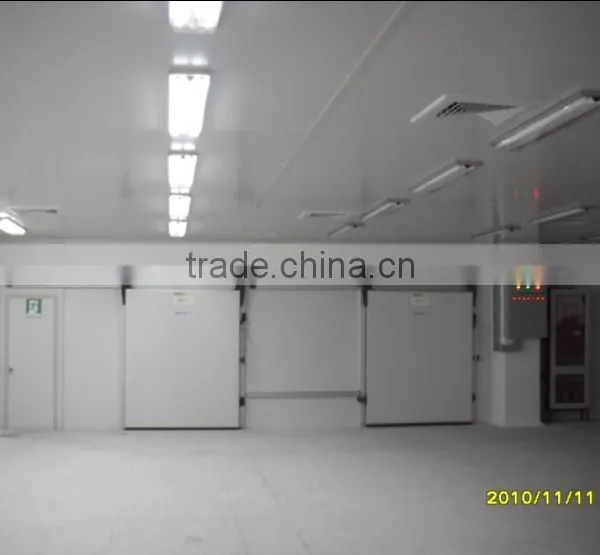 Cold Room Equipment for Freezing Chickens in Slaughterhouse photo-1