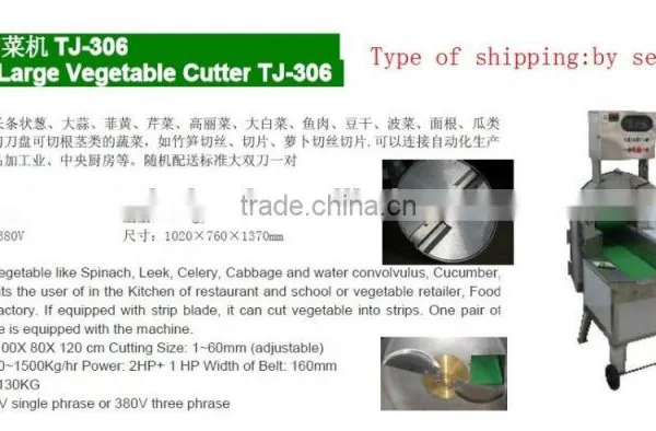 Wholesale Multifunction Economy Diced Vegetables and Fruit Dehydration Machine Dicing Machine Taiwan Series TJ306 photo-2