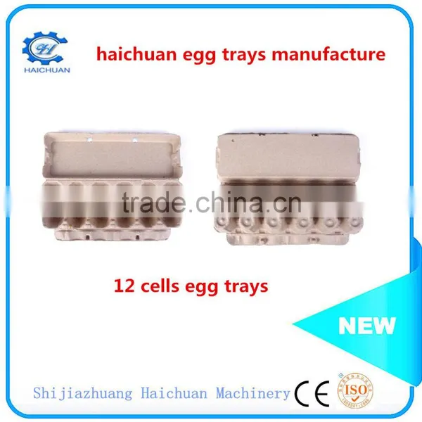 Paper Mold Pulp Egg Tray Packaging photo-5