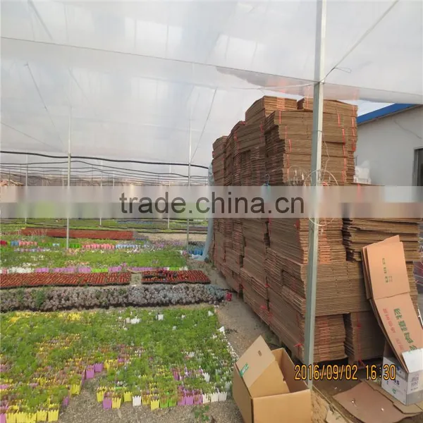 Factory Prices Non-wetting Mushroom Growing Greenhouse photo-4