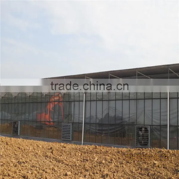 Commercial Green House(ISO9001:2008) photo-3