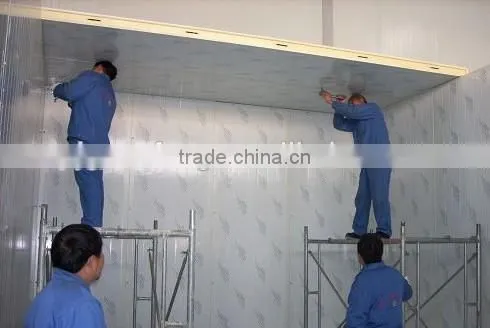 Cold Storage Room Cold Storage Refrigerator Freezer photo-4
