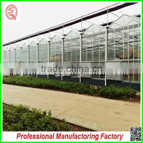 Hot Sale Multi-span Glass 8.0m Agriculture Greenhouses for Planting photo-6
