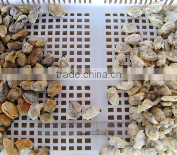500g Seafood Mix photo-3