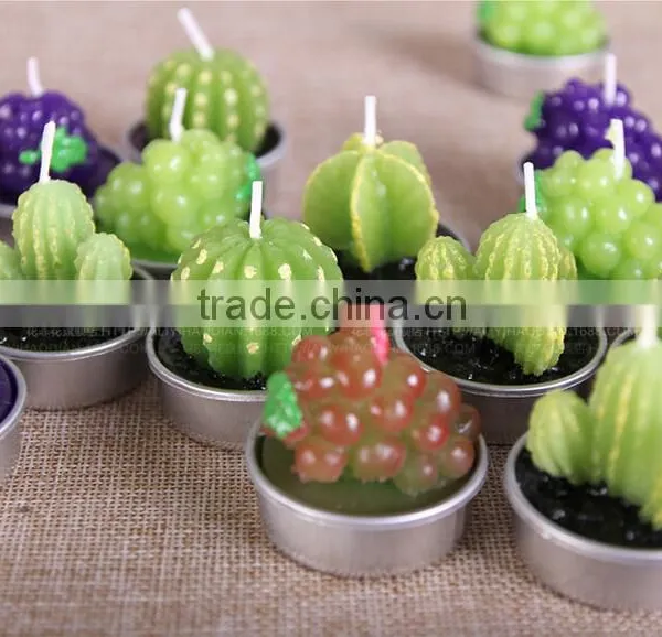 Cactus and Grape Plant Birthday Scented Candle photo-6