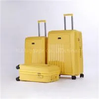 Cabin Luggage