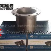 Sinotruk Howo 199112340029 STR Planetary Carrier Assembly
