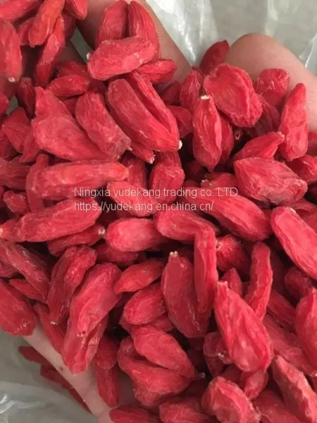 Wolfberry