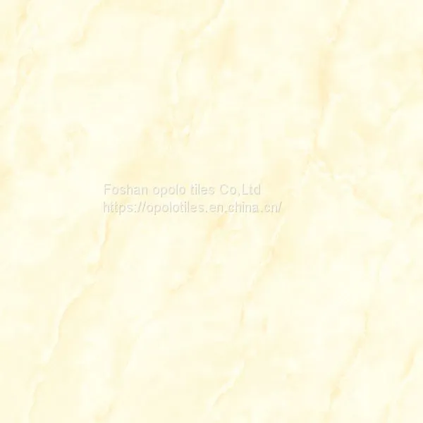 Glazed Porcelain Tiles 600X600 photo-2