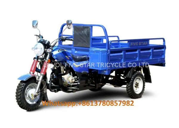 Gasoline Tricycle Cargo Loader Lovol Three Wheeler Mali Ethiopia Ghana Bukina Faso Tanzania Kenya Senegal Togo Benin Nigeira Mauritania Angola Burundi Chad Cameroon C ô te D'Ivoire Gabon Guinea Mozambique Rwanda Congo Uganda Zimbabwe photo-2