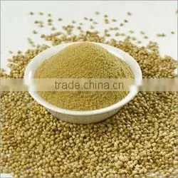 Coriander Powder