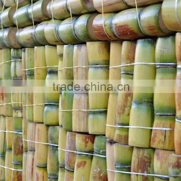 Fresh Sweet Sugarcane From Vietnam/ Sweet Cane Sugar photo-3