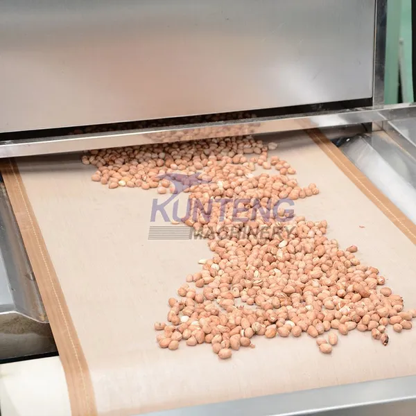 Professional Microwave Dryer Machine Nuts and Bean Ripening Sterilization Dryer EPC photo-5