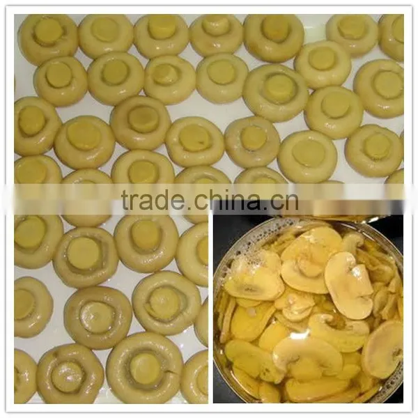 Mushroom in Canned Food and Vegetable Canned Button Mushroom
