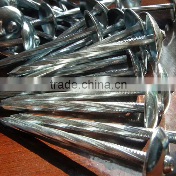Galvanized Roofing Nail photo-3
