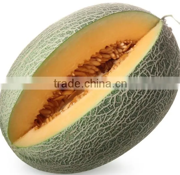 Fresh Melon Sweet Melon Price photo-3