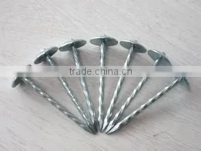 roofing nail with round cap