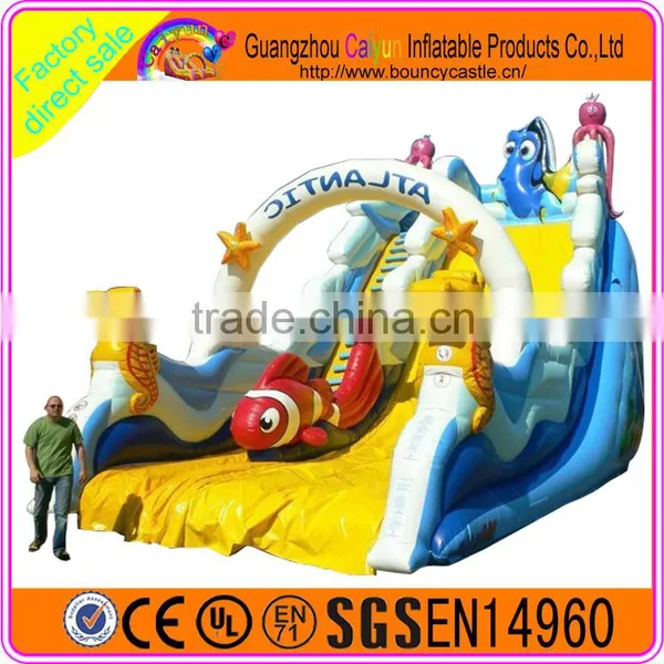 2016 Giant Outdoor Sports for Kids in Summer Inflatable Plastic Dry Slide photo-2