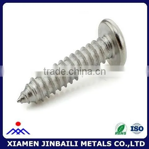 Self Tapping Philips Cross Recessed Screws photo-2