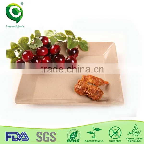 Fashion Design Biodegrable and Wholesale Simple Square Plate photo-3