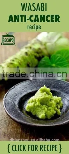 Hot Sale Mazuma Raw Wasabi Paste photo-2