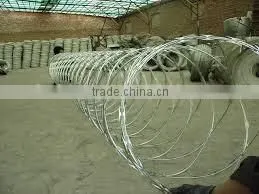 Hot Popular Concertina Razor Wire Direct Form Factory photo-4