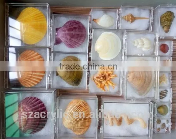 High Quality Transparent Plastic Small Box Storge Box Wholesale photo-6