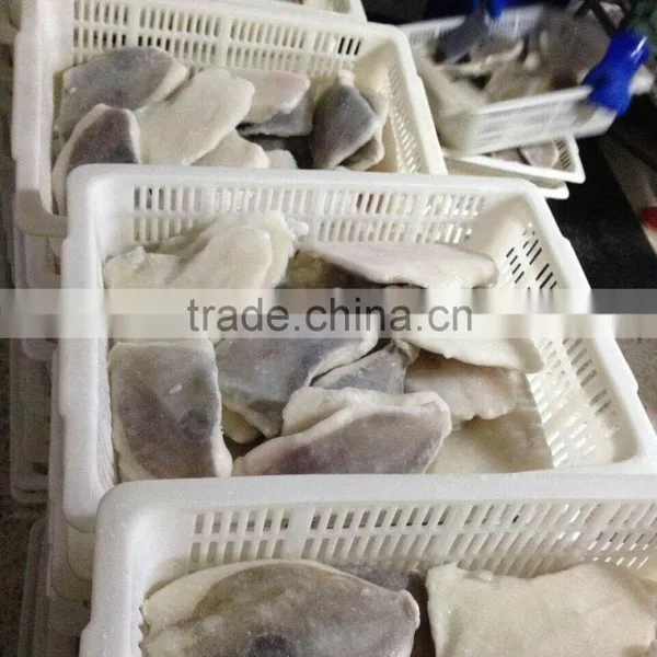 Frozen Fish Fillets-John Dory Fillet for Market photo-3