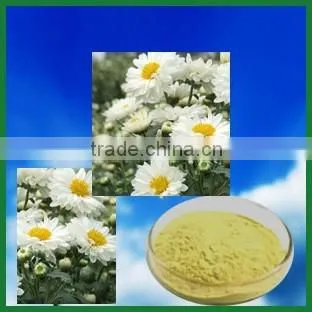 Chrysanthemum Powder