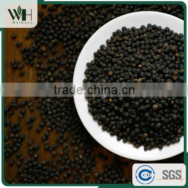 Cambodia Native Black Pepper Seed 500gl With Good Rate