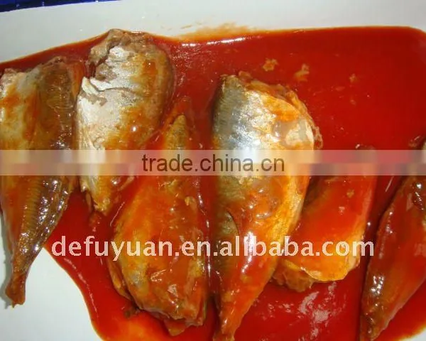 Popular Sale Canned Sardine in Tomato Sauce photo-3
