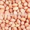 Blanched Peanut photo-2