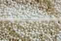 Sago Seeds