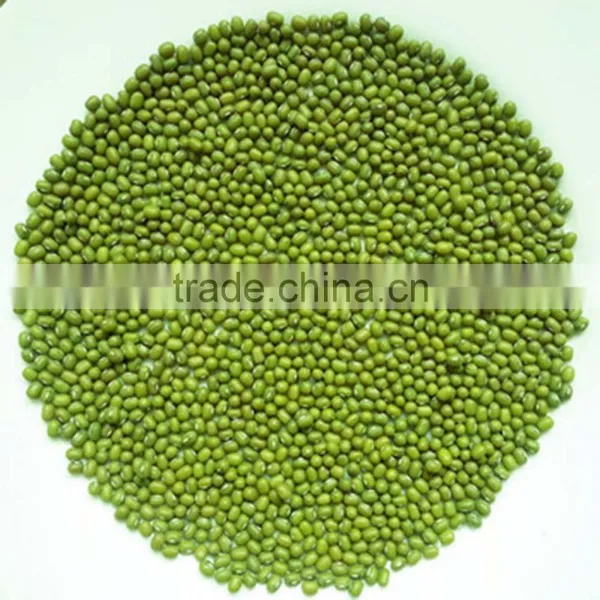 JSX Vietnam Yellow Mung Beans Big and Small Size China Moong Dal photo-4
