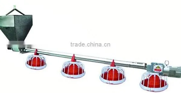 Automatic Screw Feed Hopper for Breeders House