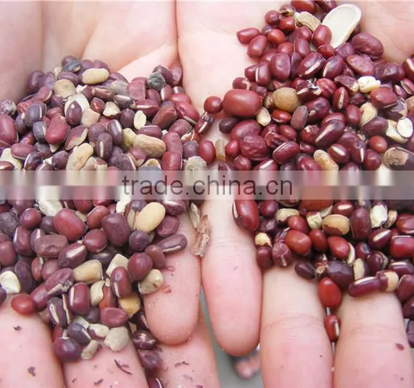 Soya Bean Polishing Machine photo-6