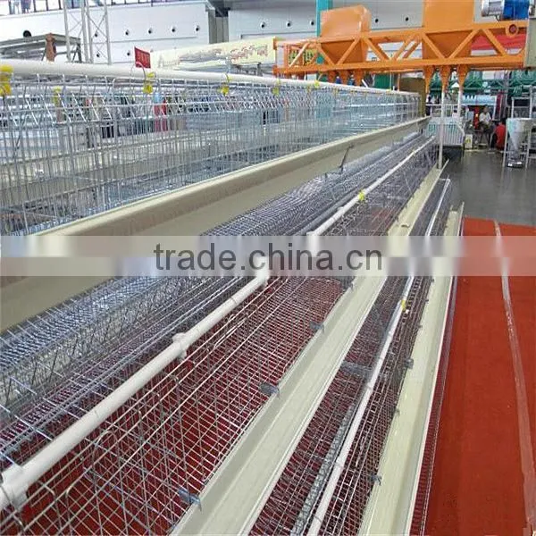 High Quality Chicken Cage Used Automatic Poultry Farming Equipment