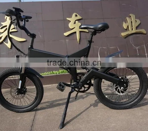 20 Inch Electric Folding Bike Mountain Electric Bike Electric Fat Tire Bike photo-2