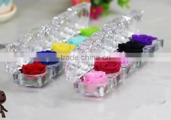 Natural Preserved Fresh Rose Wholesal Flower Multi Colored Preserved Roses