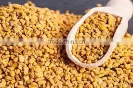 Natural Fenugreek Seed