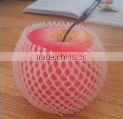 SGS Certificate Foam Net Protect Melon In Packaging photo-6