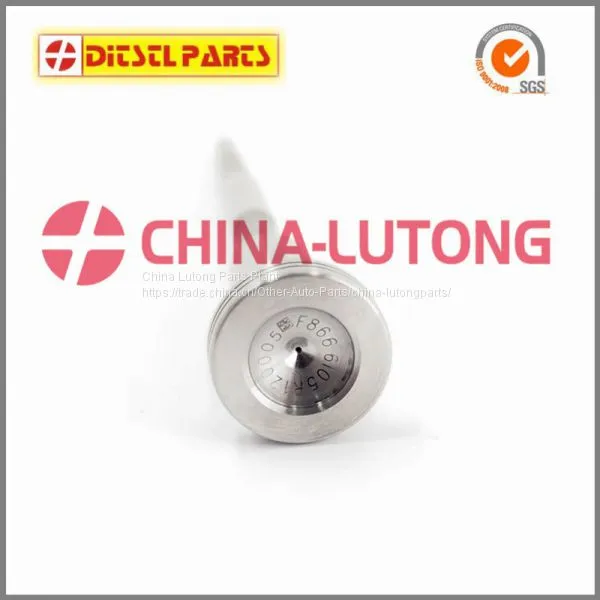 Bosch Common Rail Injector Valve F00RJ00005 for Diesel Fuel Injection System Pdf photo-3