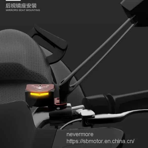 Spirit Beast Motorcycle Modified 12V 0.5W Switches Dangerous Light Double Flash Switch Box ER202 L2 photo-2
