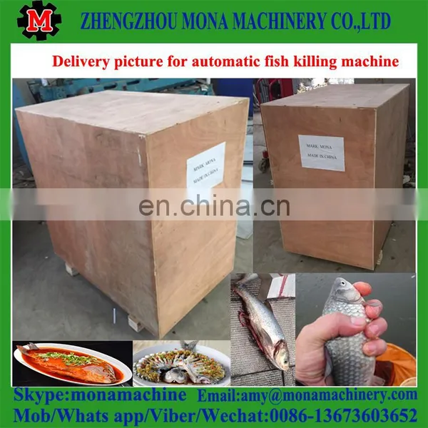 Full Automatic Energy Efficient Fish Gut Removal Cleaning Machine With Low Price photo-6