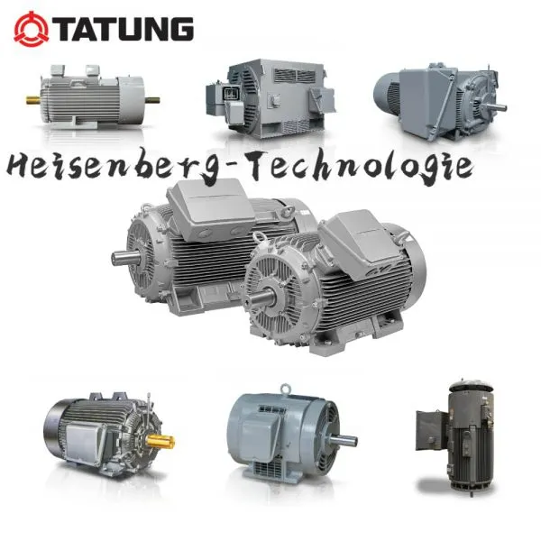 Tatung Motor Heavy Electric Motor Supermax-841 TPU-CM photo-2