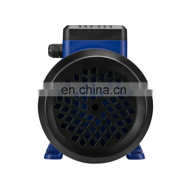 Small Size PKM60 Electric Motor Vortex Water Pump photo-4