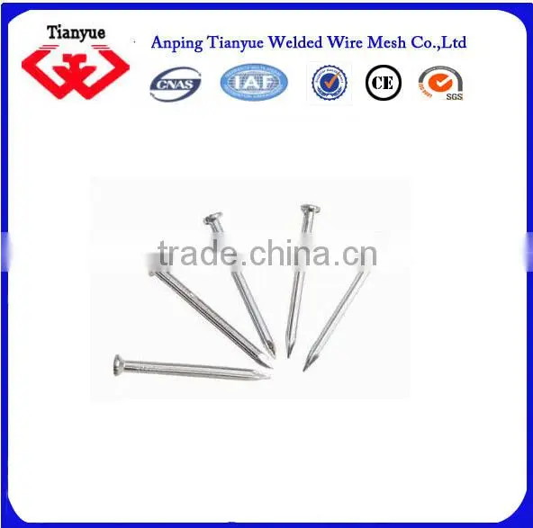 Stainless Steel Nails Manufacturer(15 Years Export Experience) photo-4